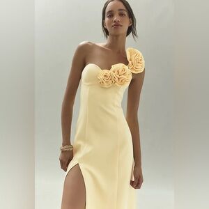 The Wolf Gang Flores One-Shoulder Rose Midi Dress